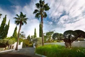 Owning Spanish property via an international company