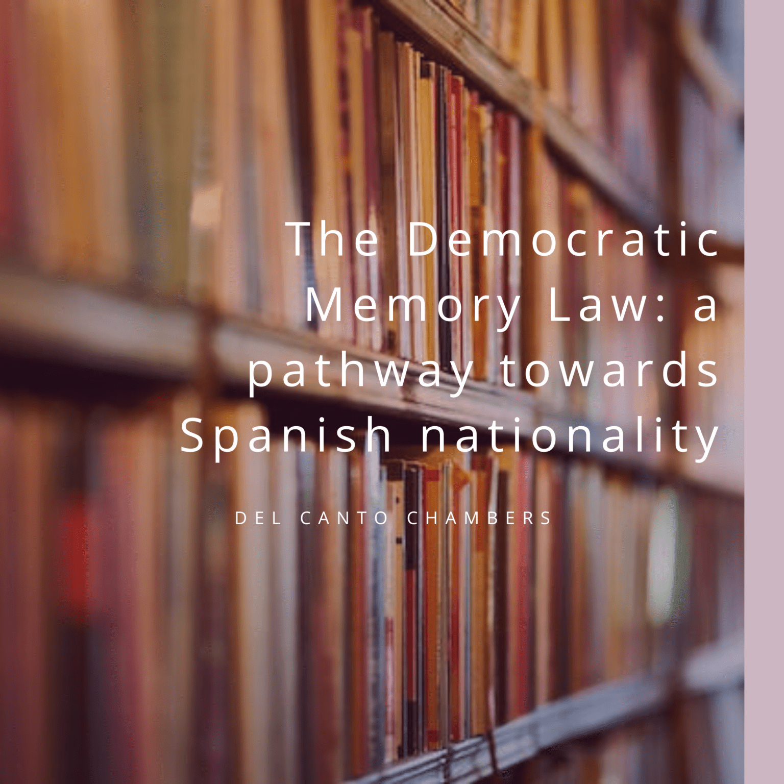 Del Canto Chambers Spanish Lawyers in London Tax & Legal